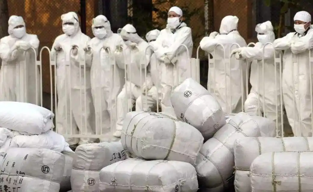 新冠疫情冲击大，多行业受损，农民工、餐饮等苦不堪言