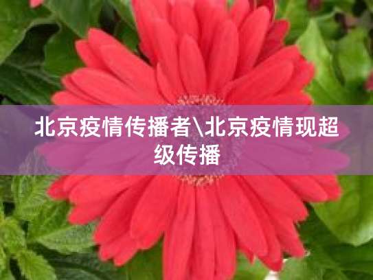 5月11日北京新增本土确诊病例情况及三地疫情源头找到
