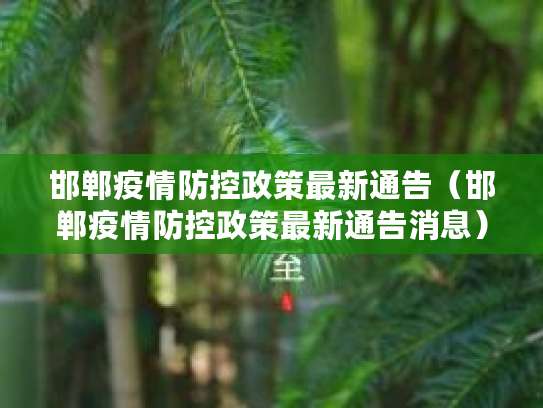 邯郸峰峰矿区调整封控管控措施，涉及疫情政策重要变化